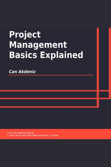 Project Management Basics Explained - cover