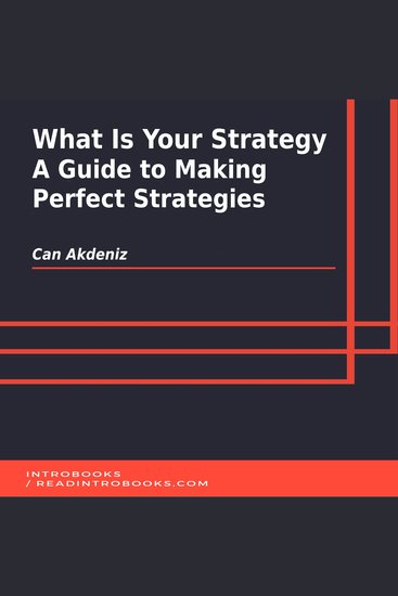 What Is Your Strategy: A Guide to Making Perfect Strategies - cover