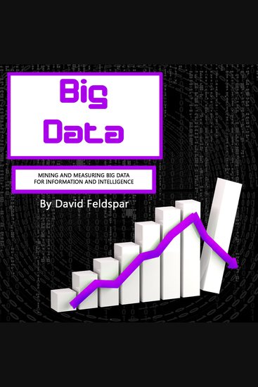 Big Data - Mining and Measuring Big Data for Information and Intelligence - cover