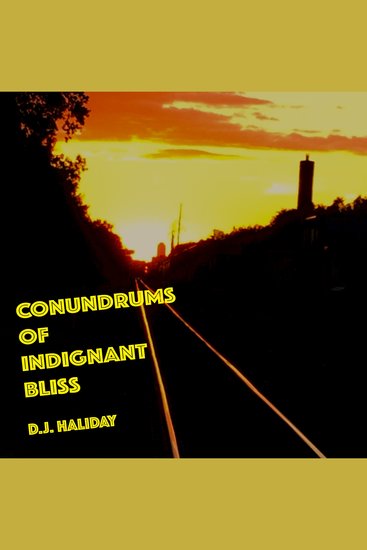 Conundrums of Indignant Bliss - cover