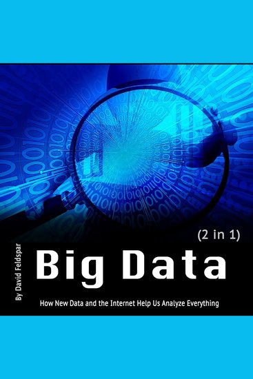 Big Data - How New Data and the Internet Help Us Analyze Everything - cover
