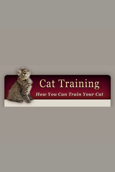 How to Train Your Cat - Learn the basic training your cat needs - cover