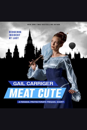 Meat Cute - The Hedgehog Incident - cover