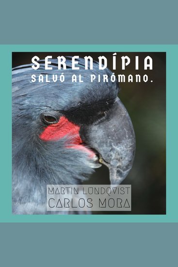 Serendípia salvó al Pirómano - cover