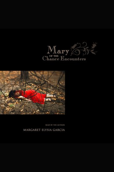 Mary of the Chance Encounters - cover