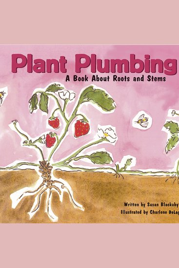 Plant Plumbing - A Book About Roots and Stems - cover
