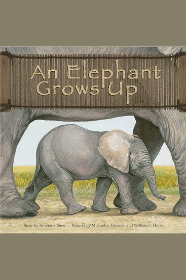 Elephant Grows Up An - cover