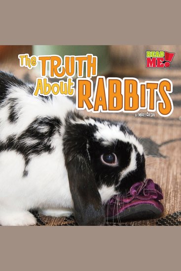 The Truth about Rabbits - What Rabbits Do When You're Not Looking - cover