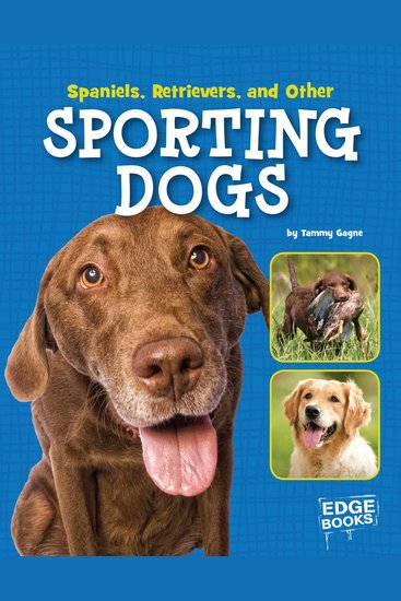 Spaniels Retrievers and Other Sporting Dogs - cover