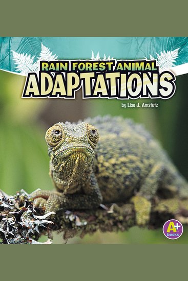 Rain Forest Animal Adaptations - cover