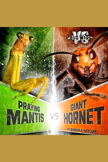Praying Mantis vs Giant Hornet - Battle of the Powerful Predators - cover