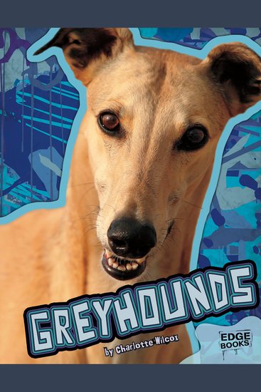 Greyhounds - cover