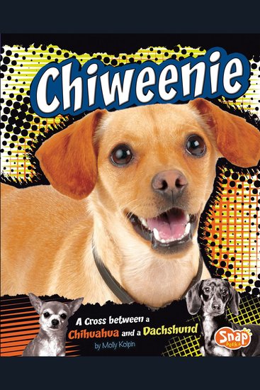 Chiweenie - A Cross Between a Chihuahua and a Dachshund - cover