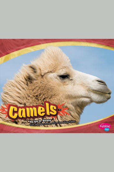 Camels - cover