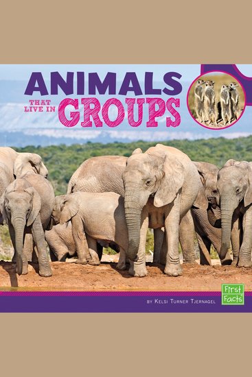 Animals That Live in Groups - cover
