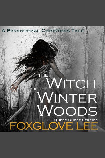 The Witch of the Winter Woods - A Paranormal Christmas Tale - cover