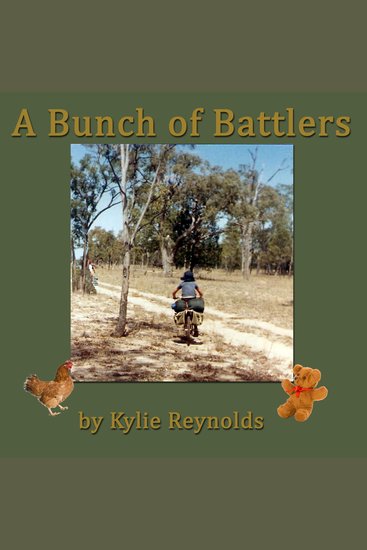 A Bunch of Battlers - cover