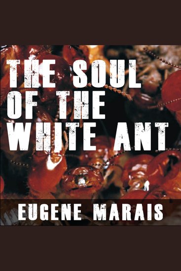 The Soul of the White Ant - cover