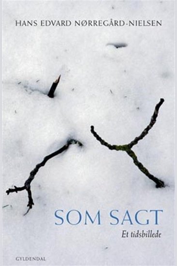 Som Sagt Et tidsbillede - cover