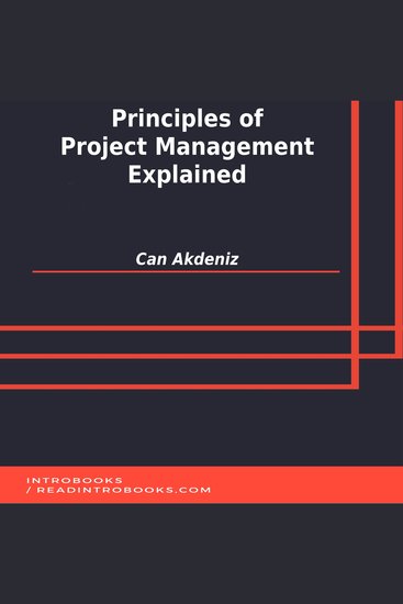 Principles of Project Management Explained - cover