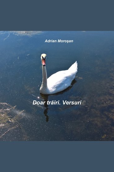 Doar trăiri Versuri - cover
