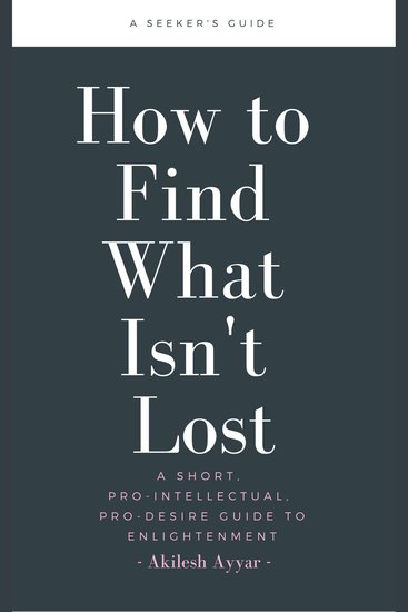 How to Find What Isn't Lost - A Short Pro-Intellectual Pro-Desire Guide to Enlightenment - cover