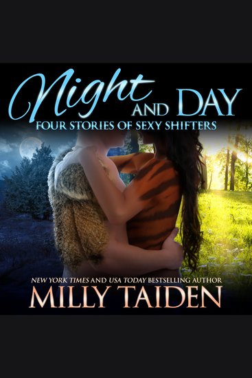 Box Set: Night and Day Ink - Box Set: Night and Day Ink Volume One - cover