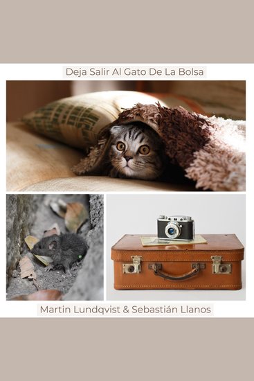 Deja Salir Al Gato De La Bolsa - cover