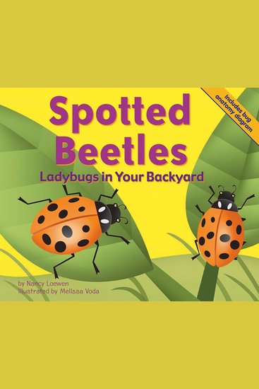 Spotted Beetles - Ladybugs in Your Backyard - cover