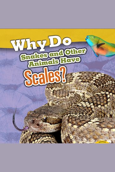 Why Do Snakes and Other Animals Have Scales? - cover