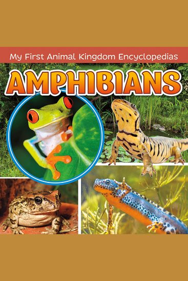 Amphibians - cover