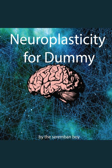 Neuroplasticity for Dummy - How to Reprogramme Your Brain - cover