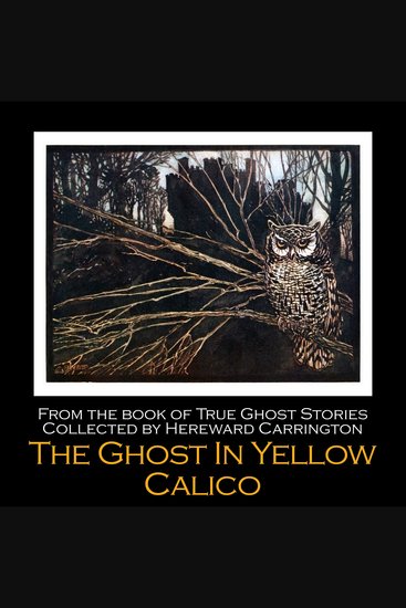 The Ghost in Yellow Calico - cover