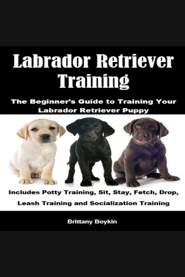 Labrador Retriever Training: The Beginner’s Guide to Training Your Labrador Retriever Puppy - Includes Potty Training Sit Stay Fetch Drop Leash Training and Socialization Training - cover