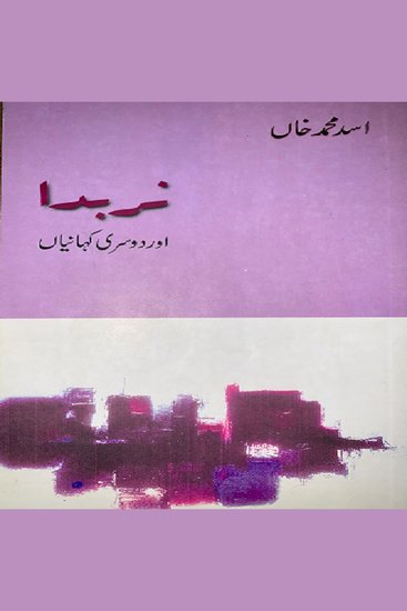 Narbada Aur Doosri Kahanian - cover