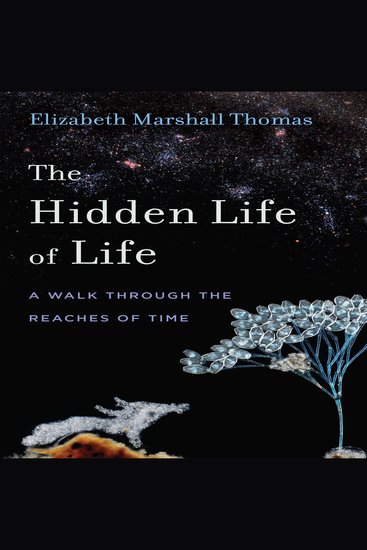 The Hidden Life of Life - A Walk through the Reaches of Time - cover