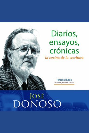 Diarios ensayos crónicas: la cocina de la escritura - cover