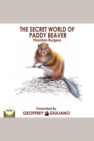 The Secret World Of Paddy Beaver - cover