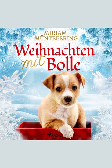 Weihnachten mit Bolle - cover