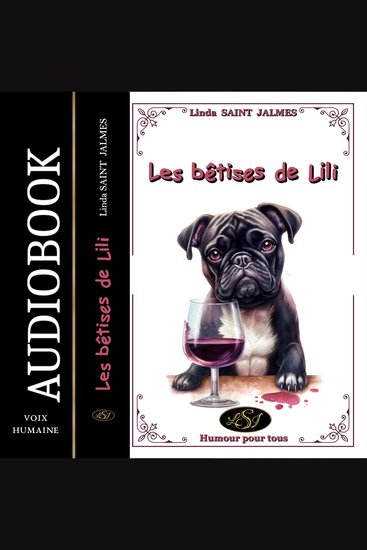 Les bêtises de Lili - cover
