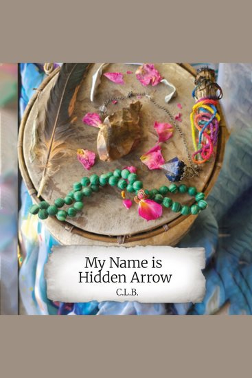 My Name is Hidden Arrow - cover