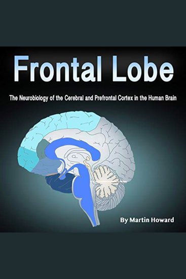 Frontal Lobe - The Neurobiology of the Cerebral and Prefrontal Cortex in the Human Brain - cover