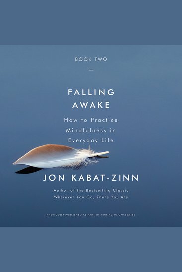 Falling Awake - How to Practice Mindfulness in Everyday Life - cover