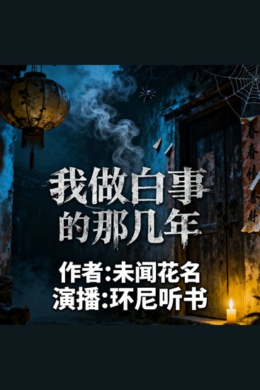 我做白事的那几年 - cover