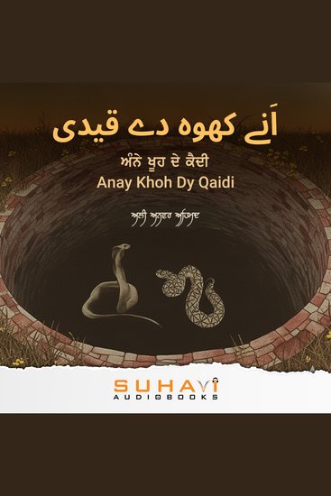 Anay Khoh Dy Qaidi - cover
