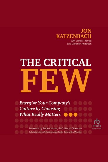 The Critical Few - Energize Your Company’s Culture by Choosing What Really Matters - cover