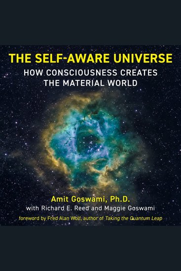 The Self-Aware Universe - How Consciousness Creates the Material World - cover
