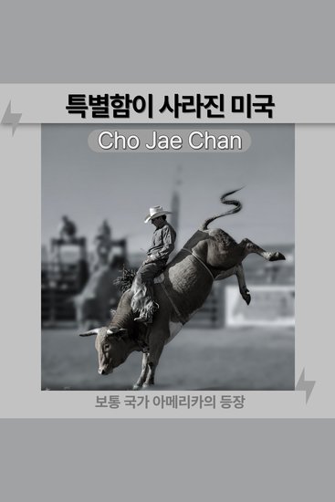 특별함이 사라진 미국 - 보통 국가 아메리카의 등장 - cover