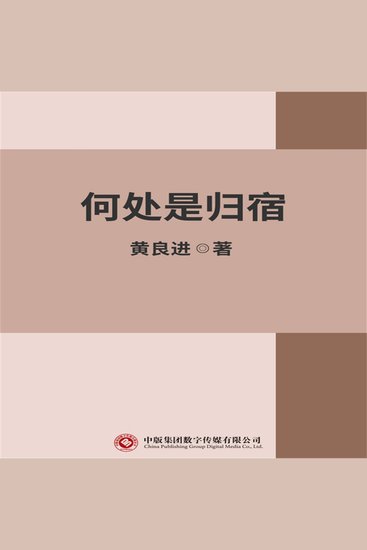 何处是归宿 - cover