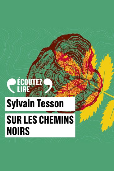 Sur les chemins noirs - cover